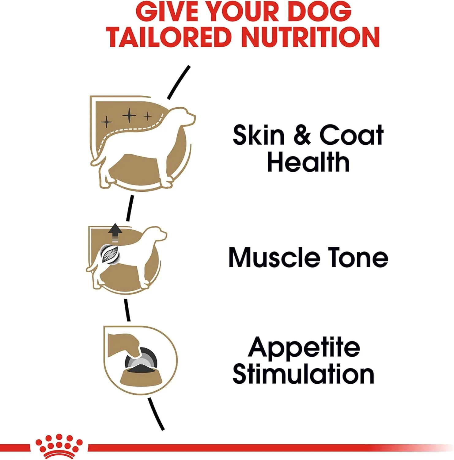 Royal Canin Poodle Adult Breed Specific Wet Dog Food, 3 oz can (24-count)
