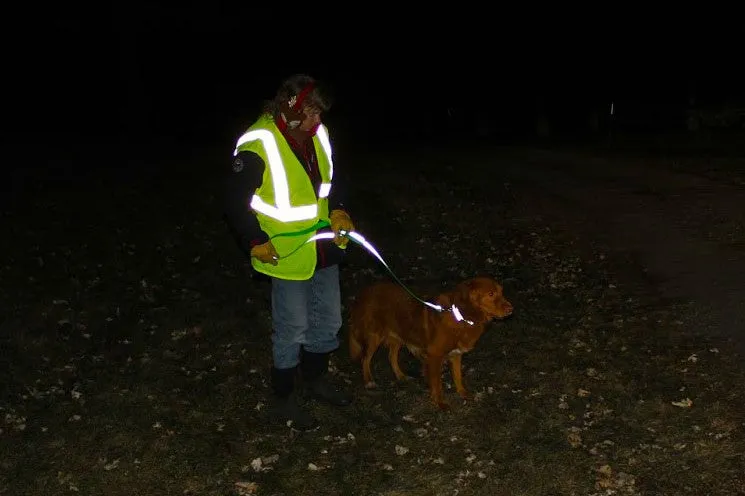 SALE! Closeout BioThane Reflective Sport Collars
