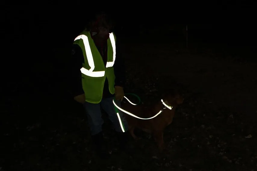 SALE! Closeout BioThane Reflective Sport Collars