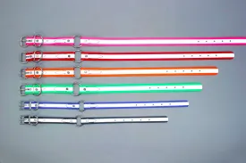 SALE! Closeout BioThane Reflective Sport Collars