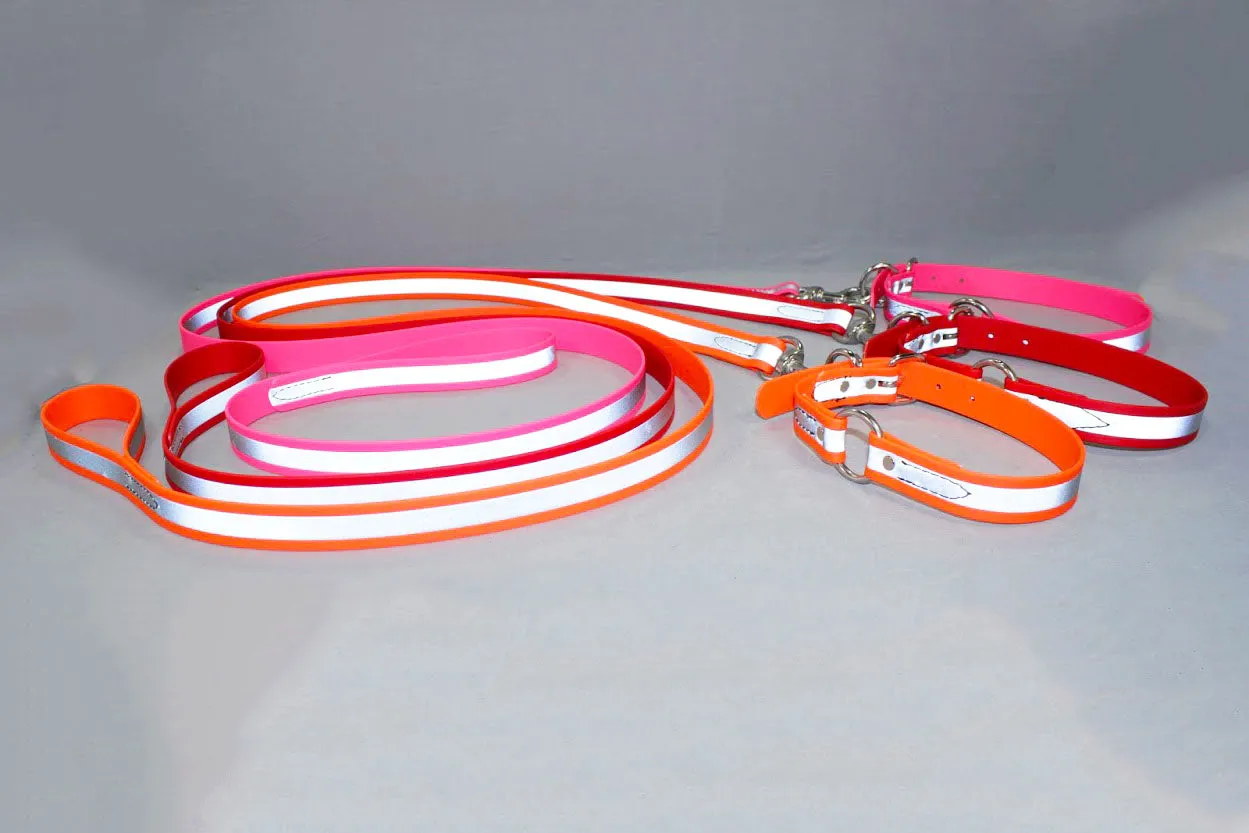SALE! Closeout BioThane Reflective Sport Collars