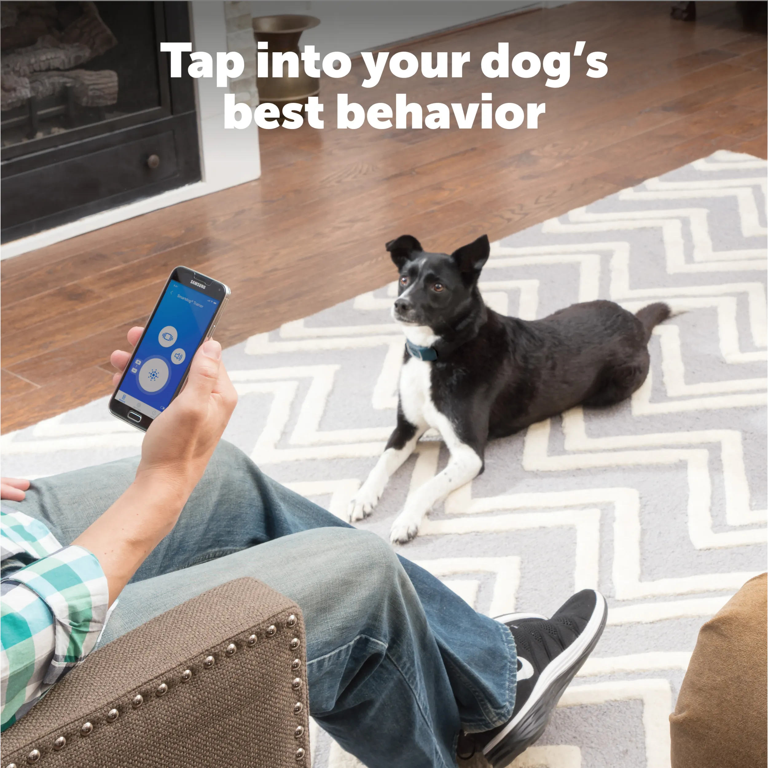 SMART DOG® Trainer
