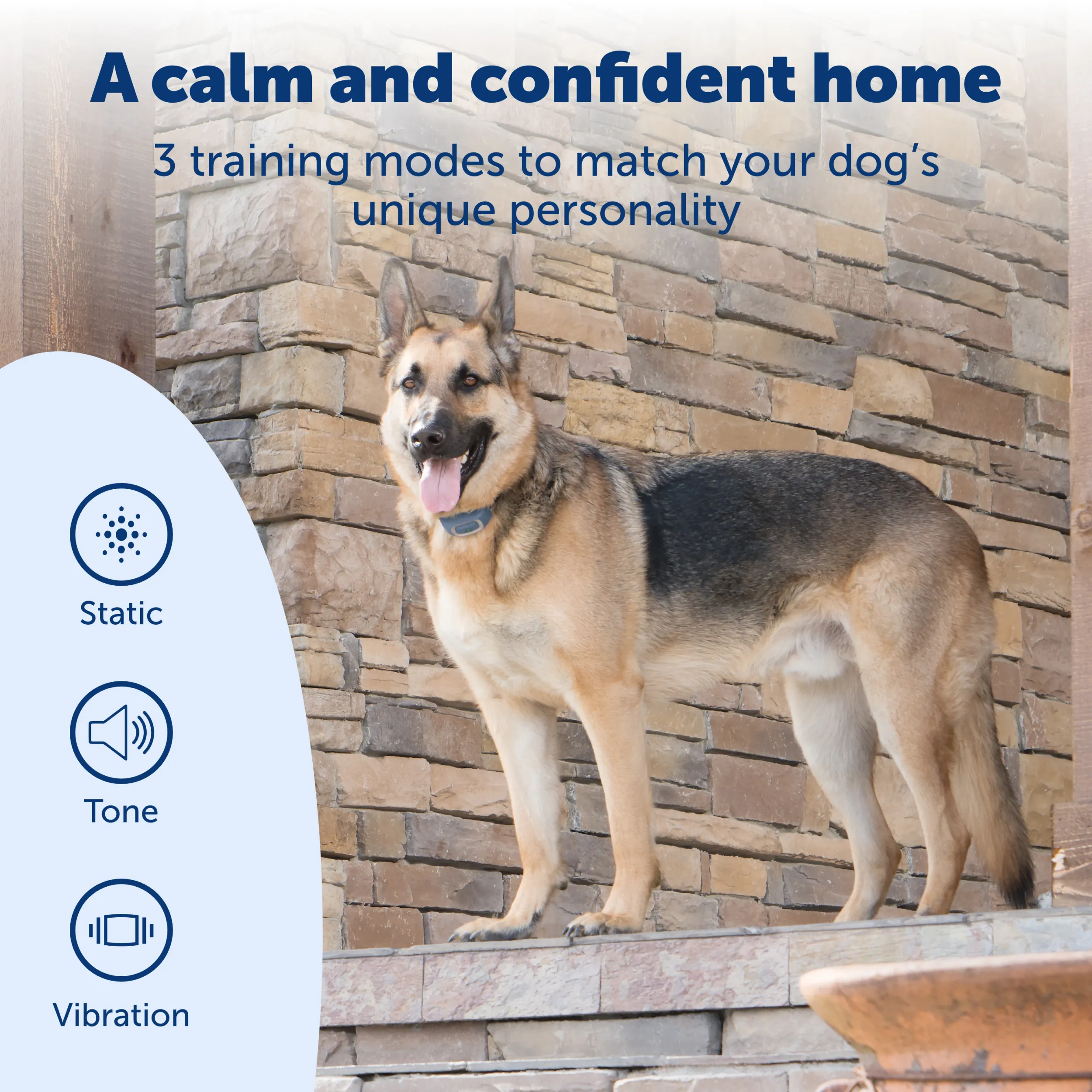 SMART DOG® Trainer
