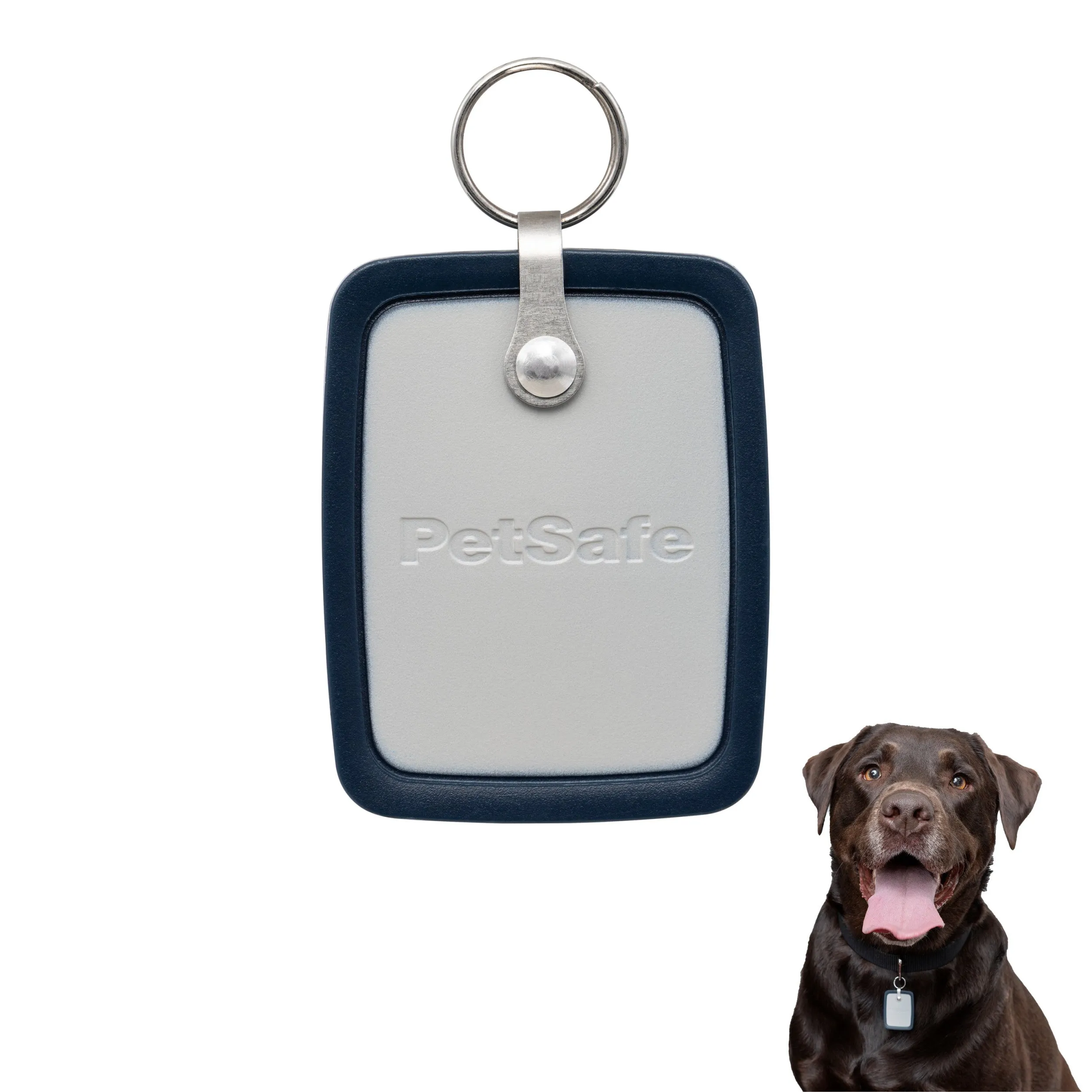 SmartDoor™ Connected Pet Door Key
