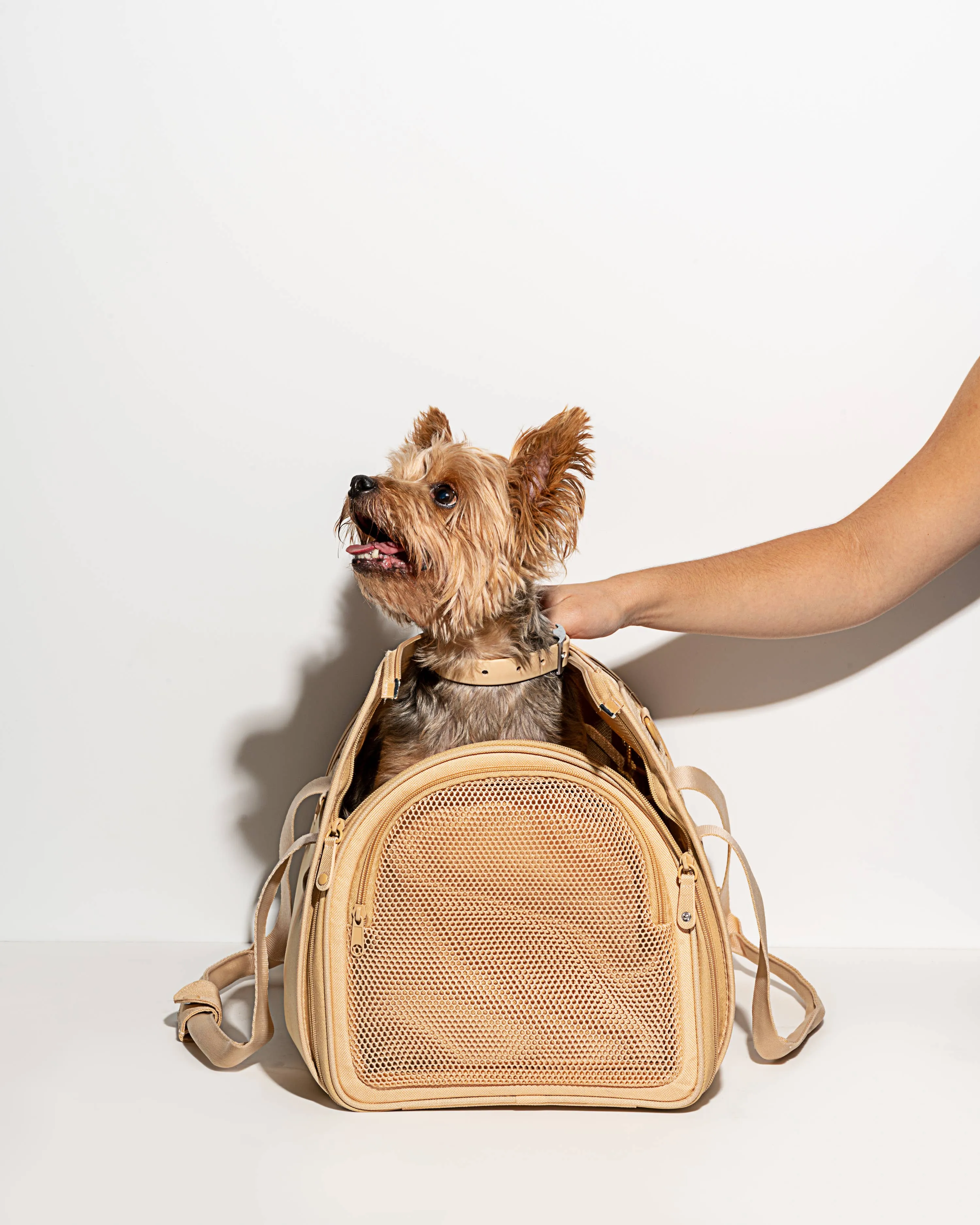 travel carrier - tan