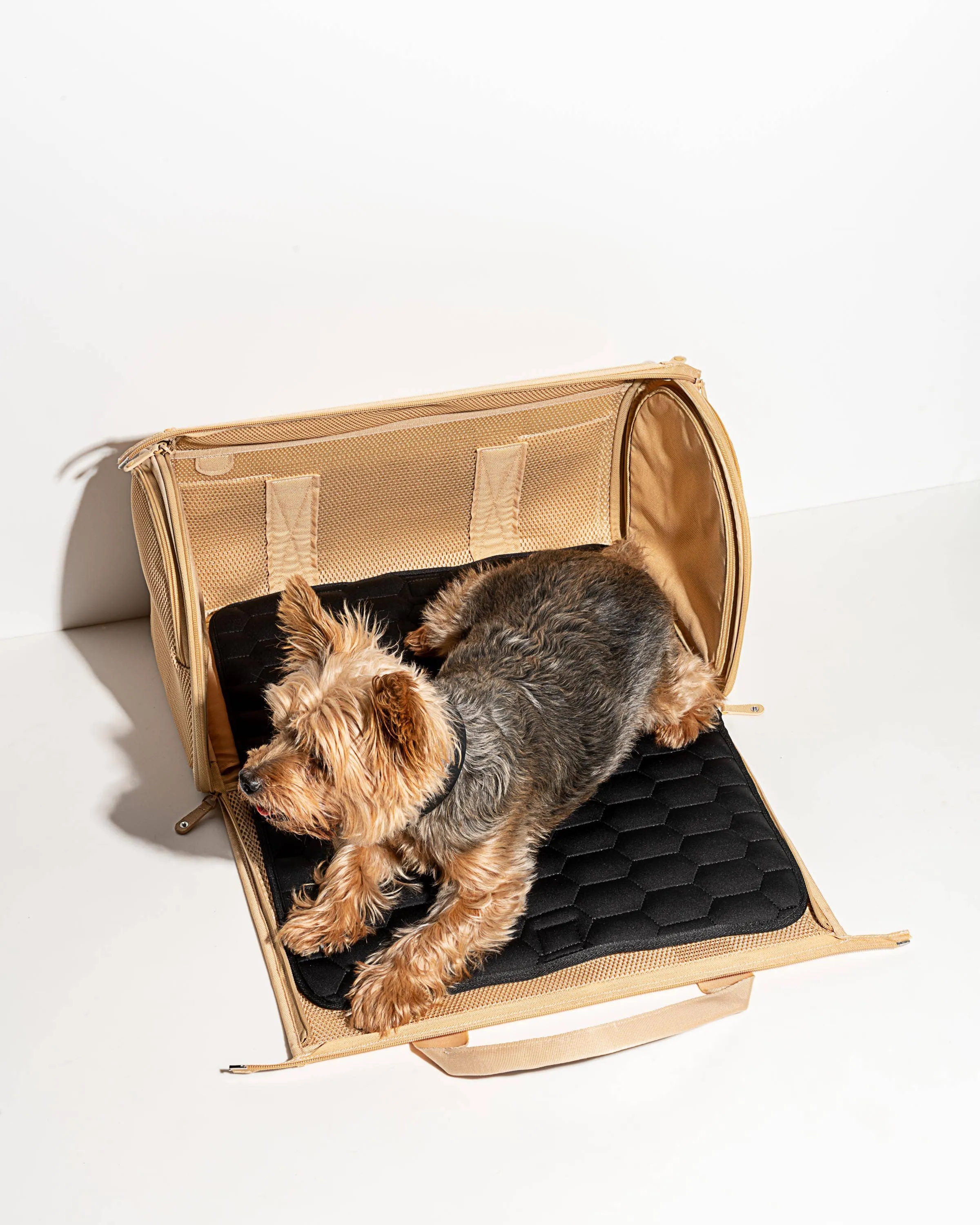 travel carrier - tan