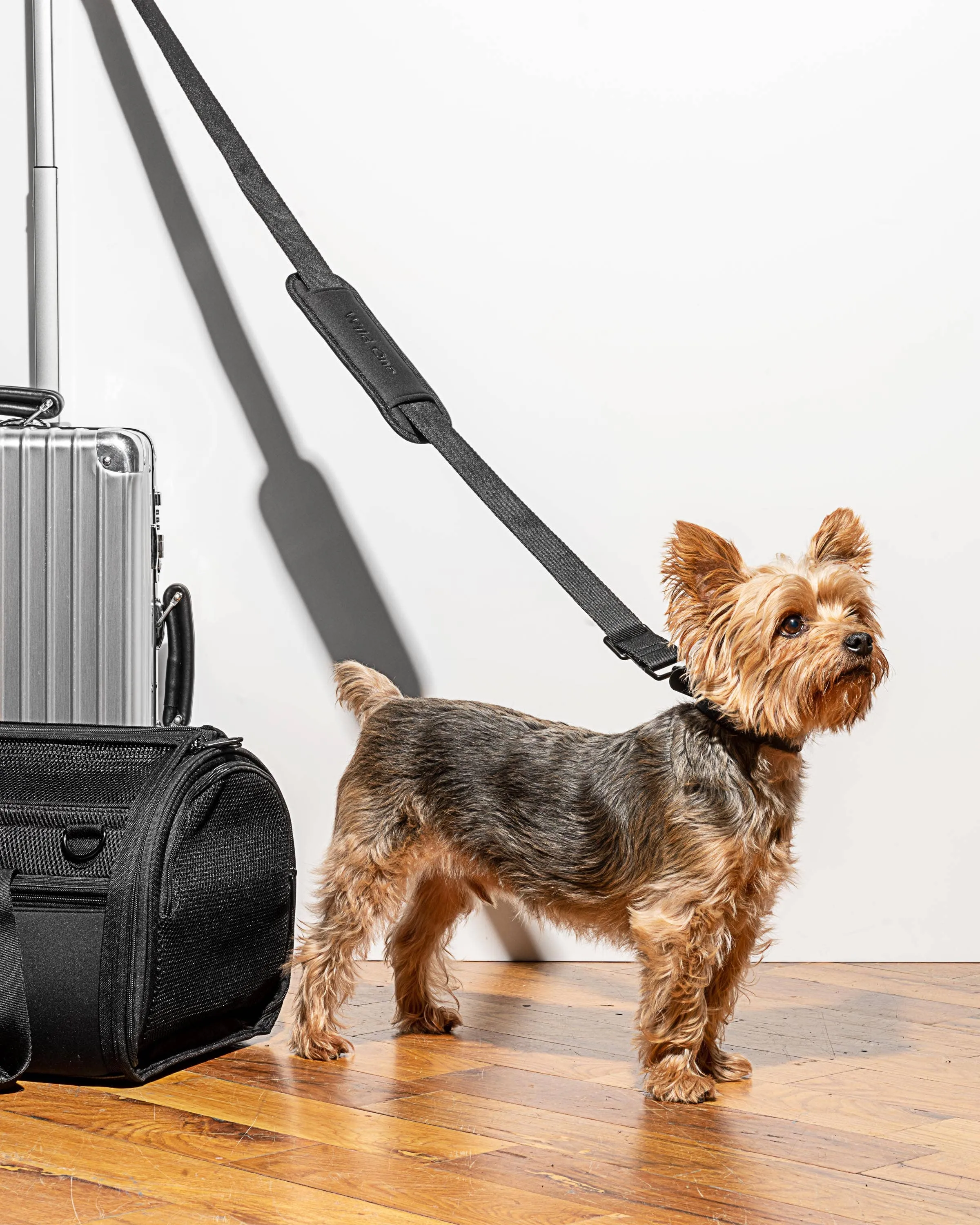 travel carrier - tan
