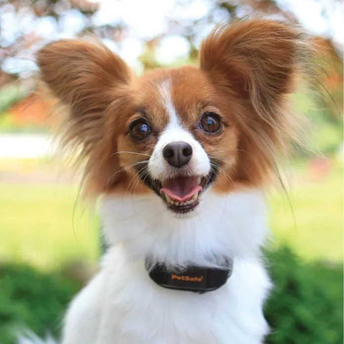 VBC-10 Vibration Bark Control Collar