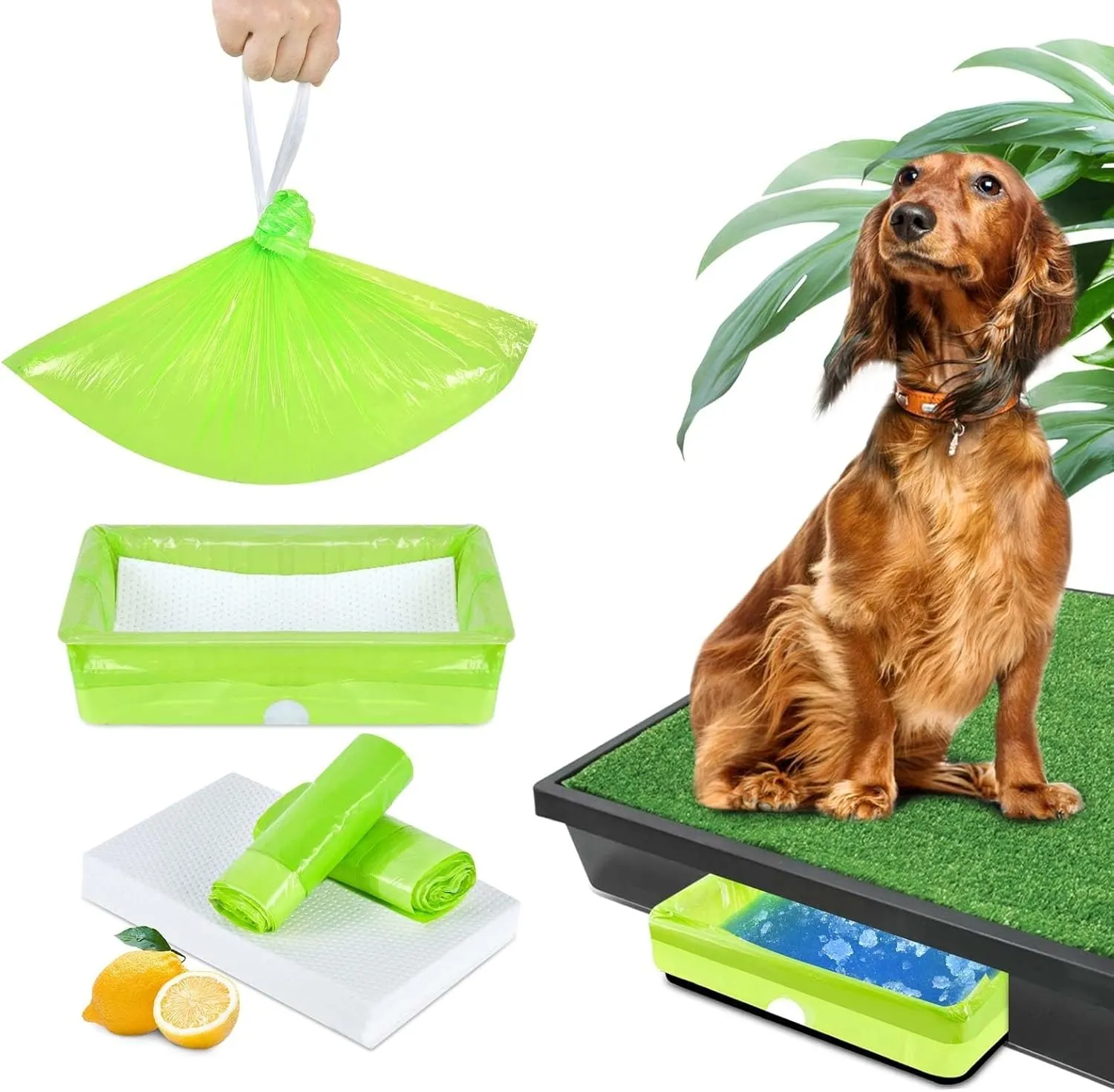 Xfire 30 Pack Pet Loo Liners for Petsafe Dog Potty Pee Pod, Disposable Pet Loo Tray Liner Bags with Absorbent Pads Instant Odor Control Urine Disposal Kit (Lemon)