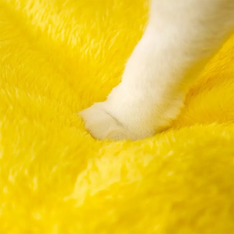 Yellow Bee House Shaped Pet Bed